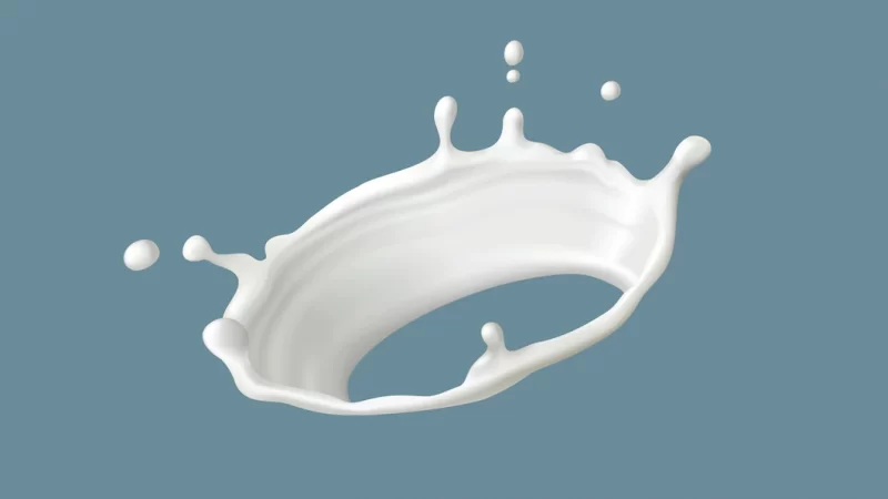 Milk splash or round swirl with drops, realistic Free Vector