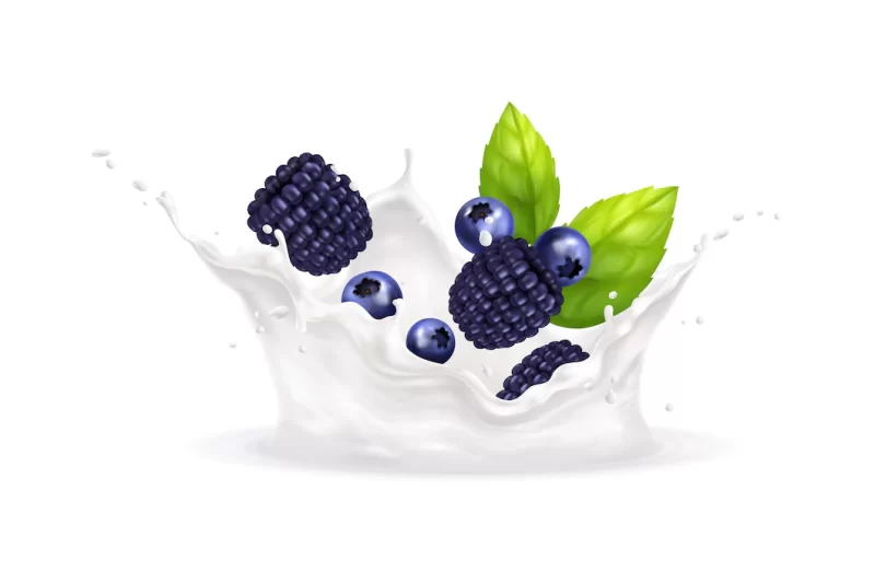 Realistic fresh blackberries and blueberries in milk splashes vector illustration Free Vector
