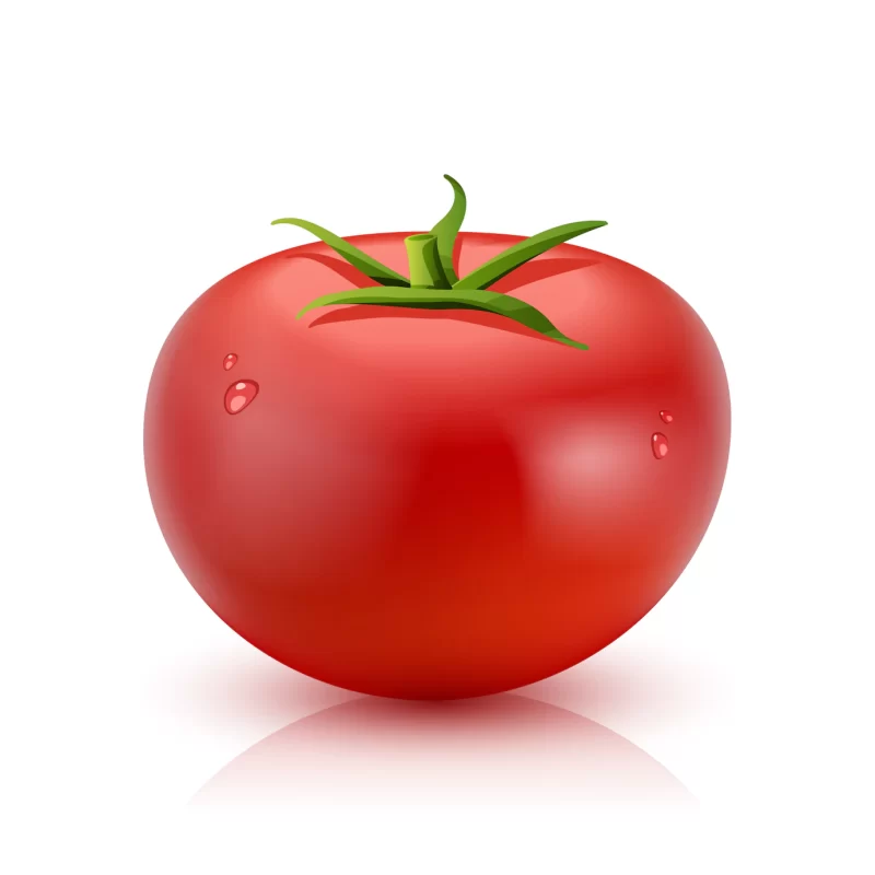 Realistic tomato isolated Free Vector