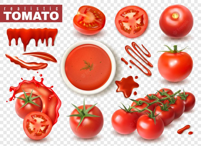 Realistic tomato on transparent set with isolated images of whole fruits slices splashes of juice Free Vector