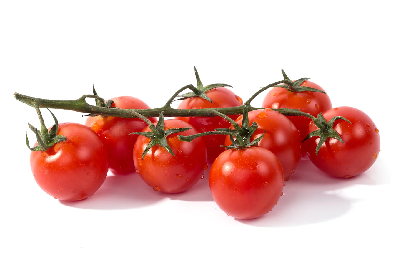 Red Tomato White 144627 20695