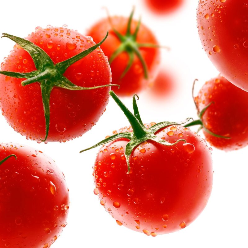 Red tomatoes levitate on a white background Free Photo