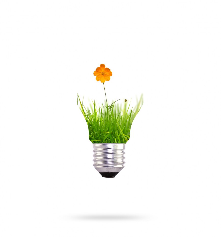 Renewable Energy With Orange Flower 1232 193