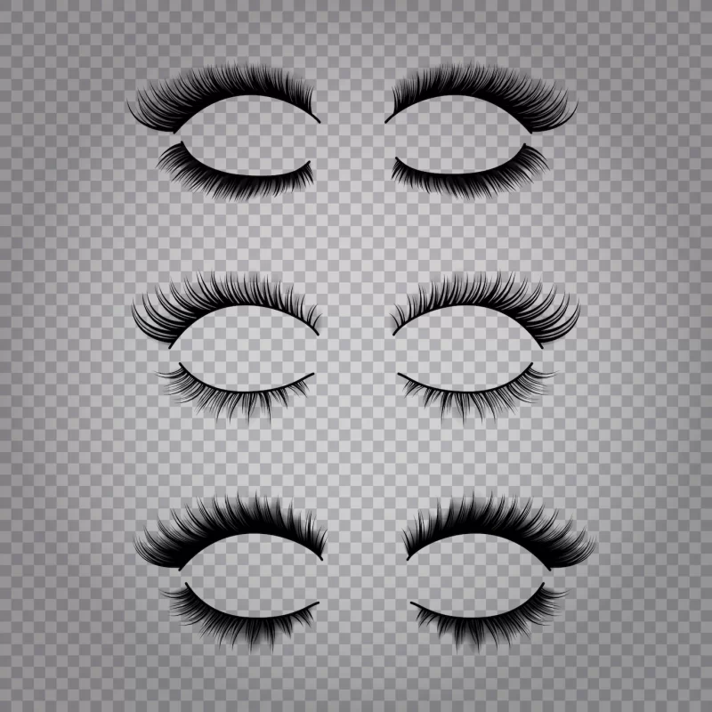 Set of realistic false lashes for upper and lower eye lids isolated on transparent background Free Vector