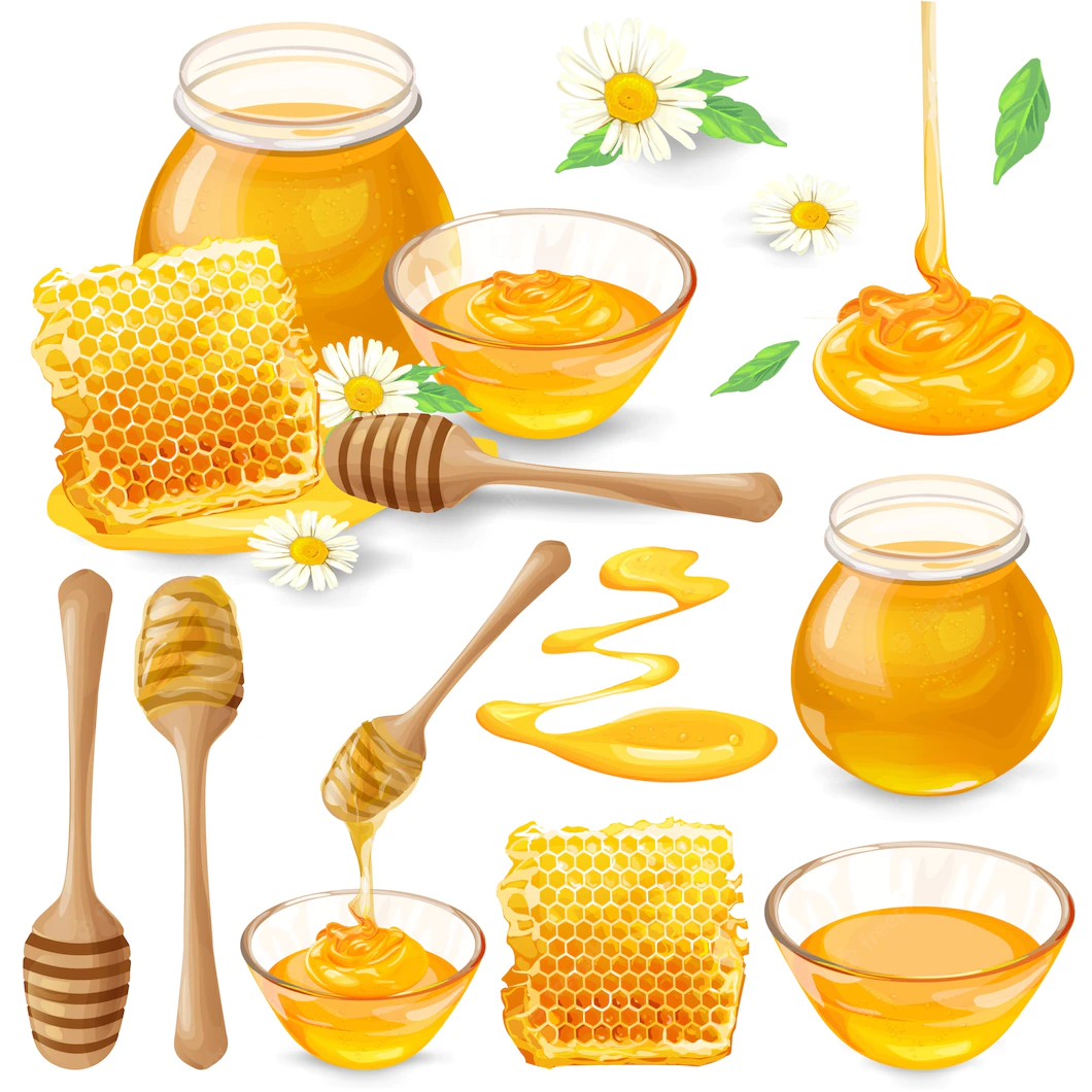 Set Vector Illustrations Honey Honeycombs Jar Dripping From Honey Dipper 1441 737