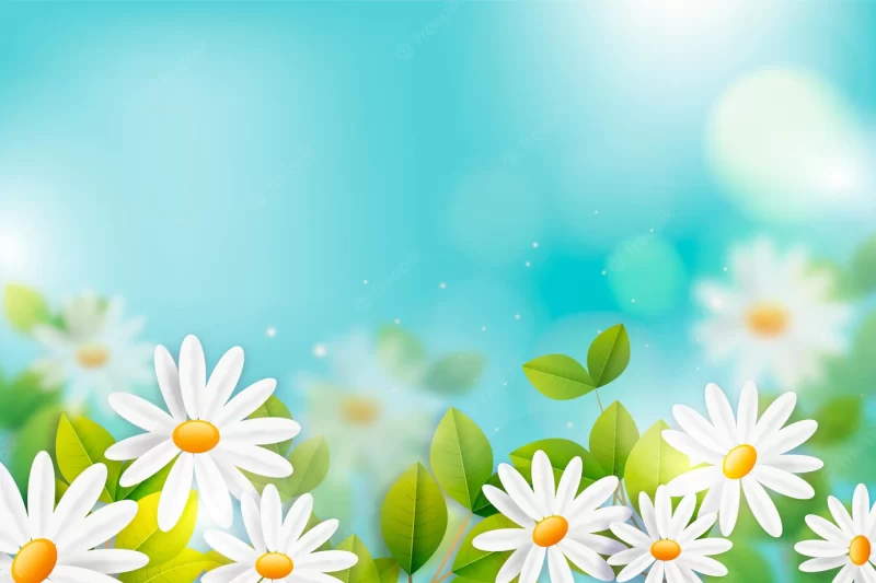 Spring background Free Vector