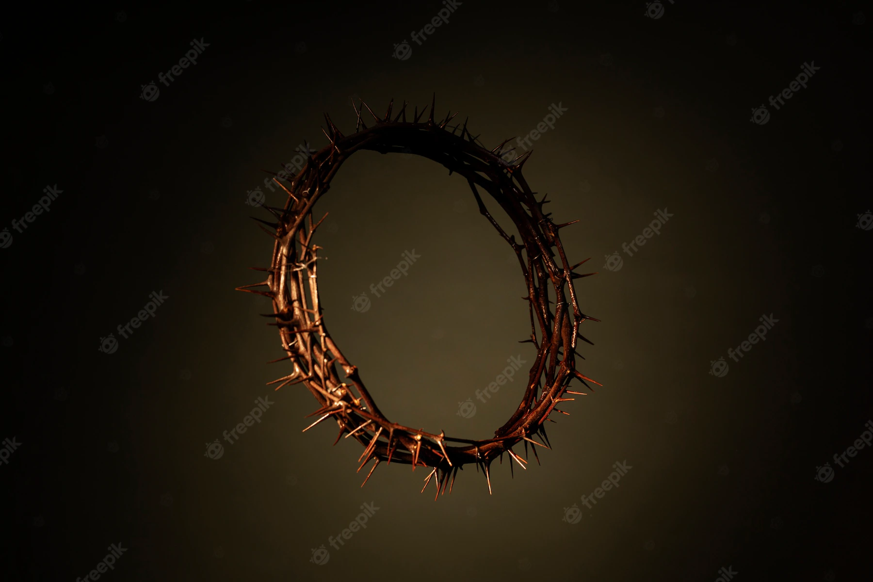 Still Life Crown Thorns 23 2149374808