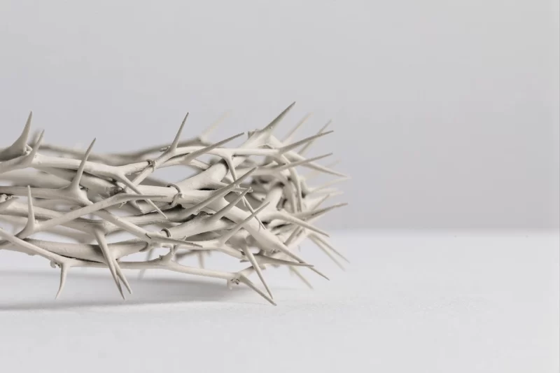 Jesus King of Jews white Still life of crown of thorns Free image download