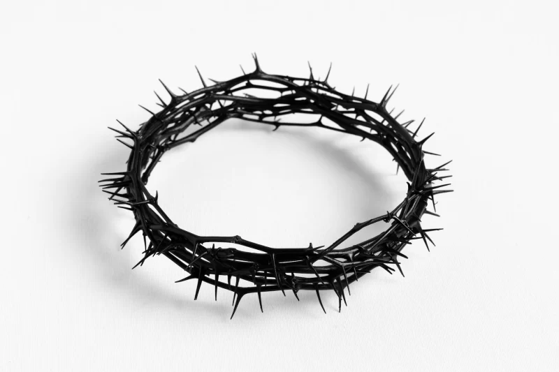 Jesus King of the Jews Still life of crown of thorns Free Photo