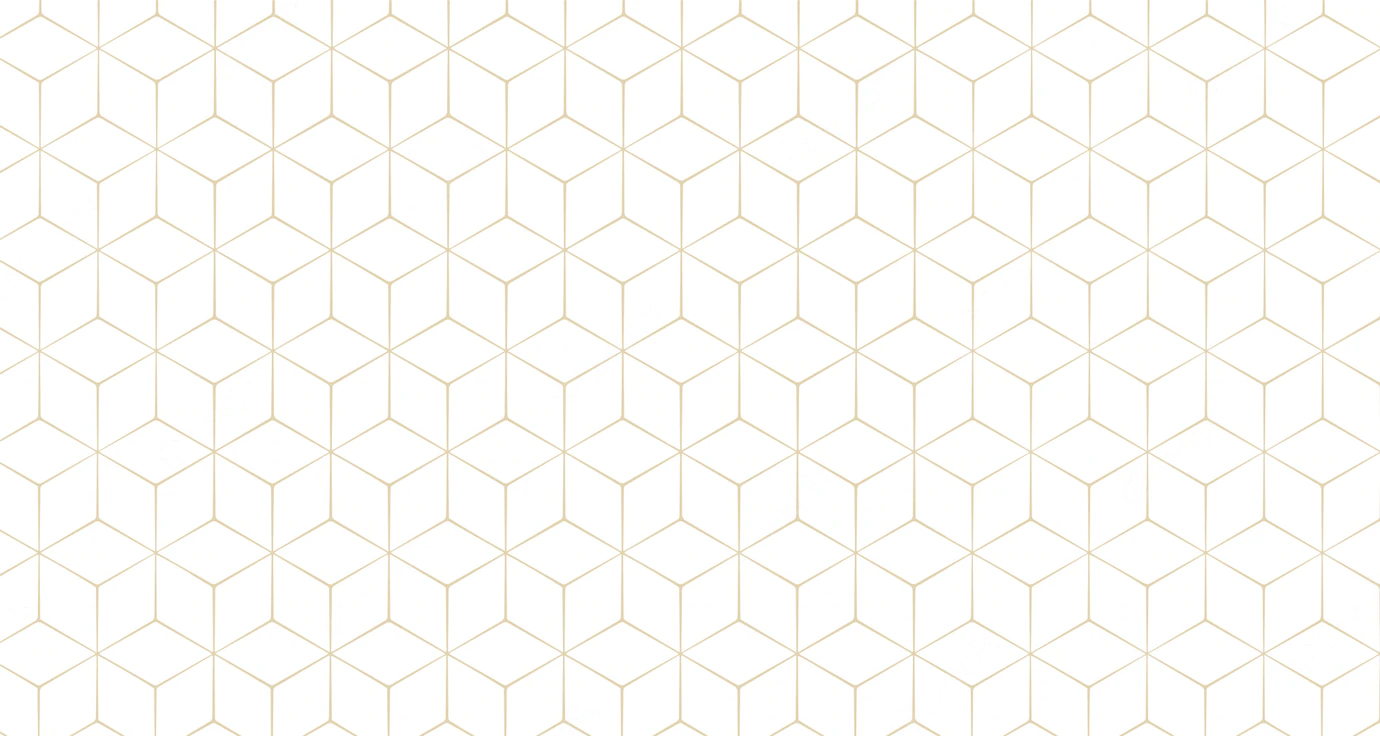 Stylish Hexagonal Line Pattern Background 1017 19742