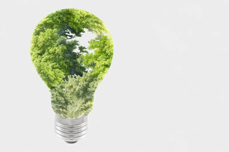 Sustainable energy campaign tree light bulb media remix Free Photo