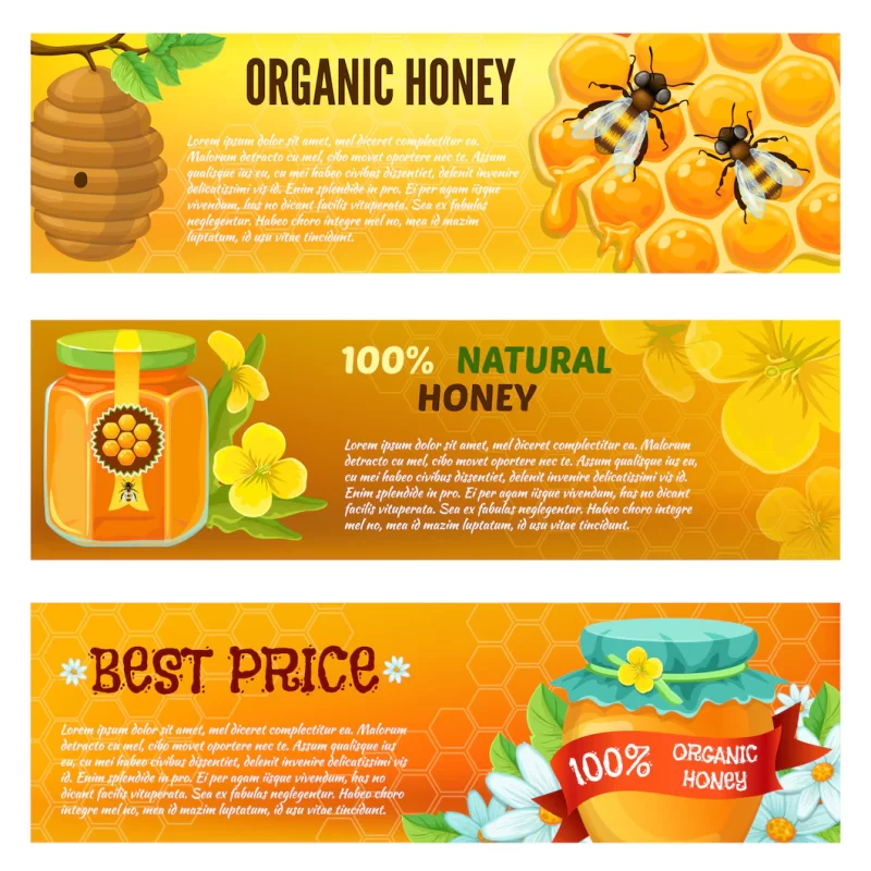 Three horizontal honey banner set with descriptions of organic honey natural honey vector illu