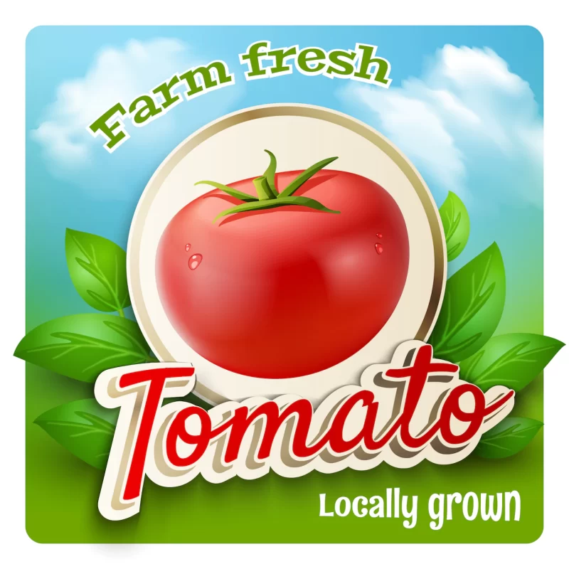 Tomato promo poster Free Vector