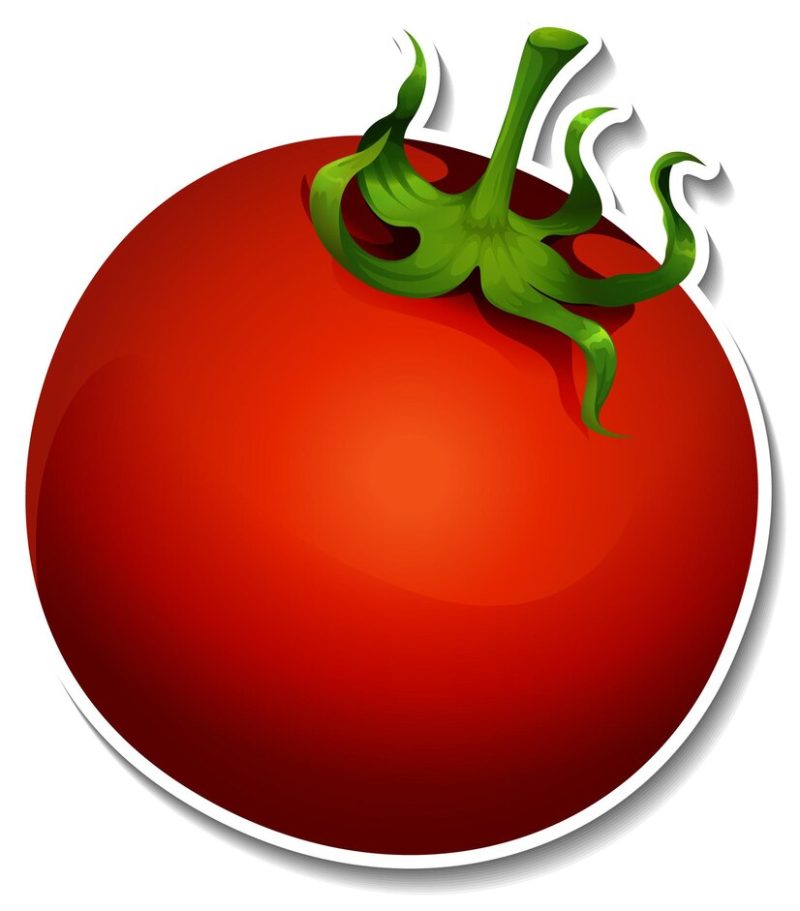 Tomato sticker on white background Free Vector