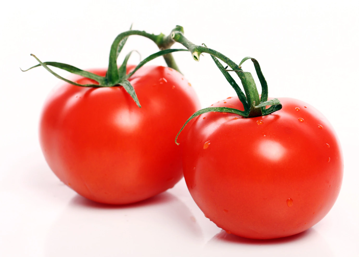 Tomatoes 144627 15409