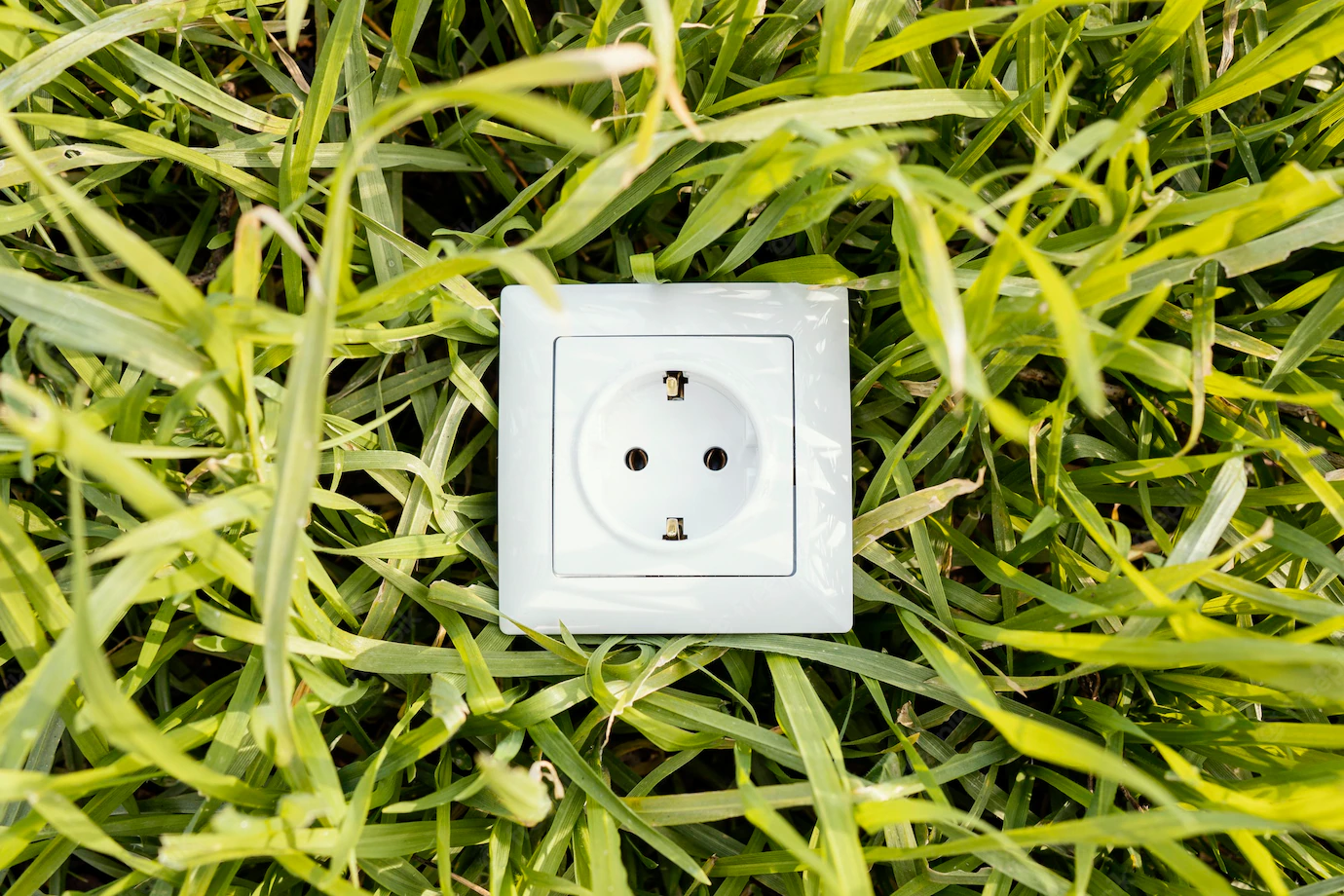 Top View Electric Socket Green Grass 23 2148895422