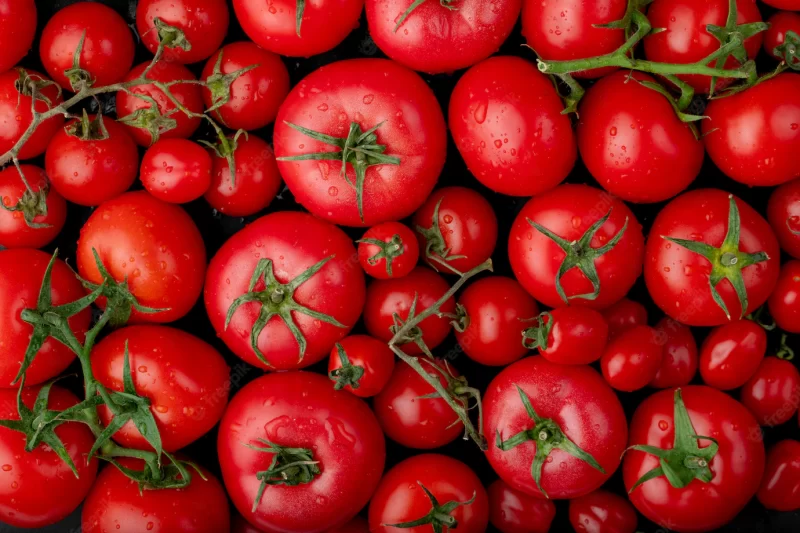 Top view of ripe fresh tomatoes with water drops on black background Free Photo