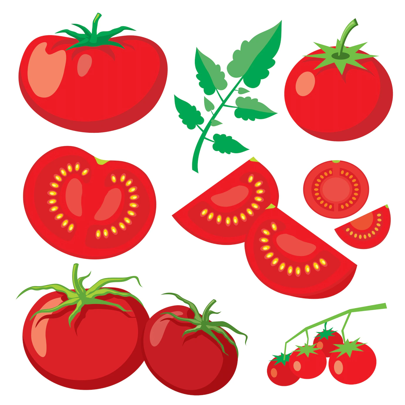 Vector Fresh Tomatoes Flat Style Healthy Vegetable Food Organic Ripe Fresh Natural Illustration 1284 42758