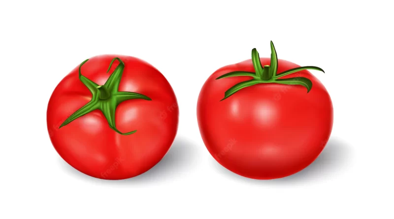 Vector illustration of a realistic style set of red fresh tomatoes with green stems Free Vector