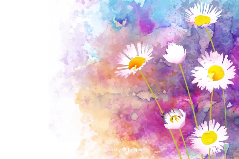 Watercolor natural background with daisies Free Vector