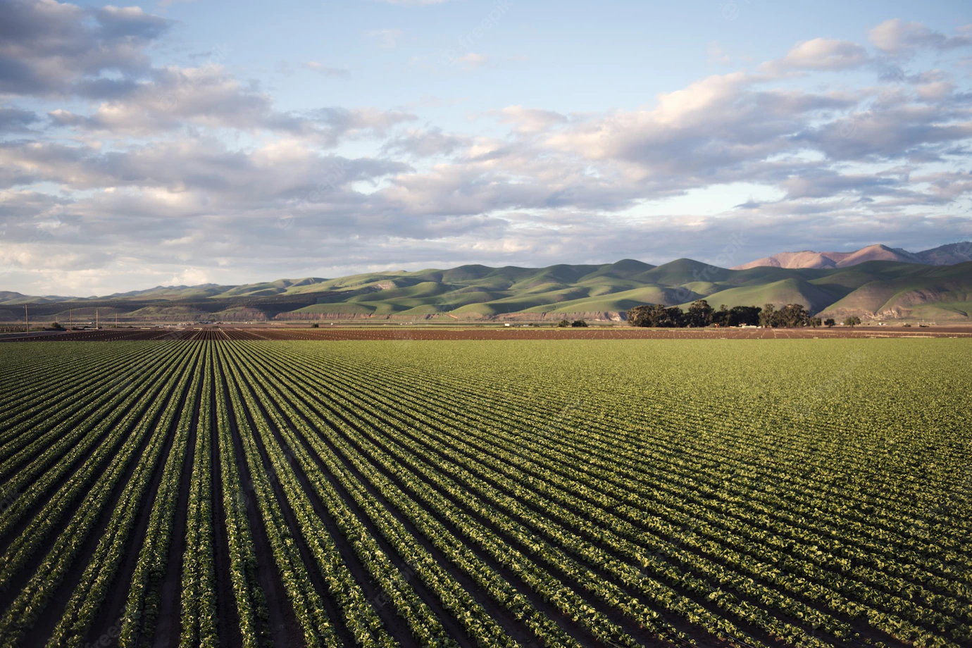 Aerial Shot Beautiful Agricultural Green Field Near Mountains 181624 29589