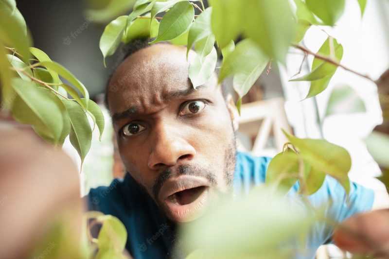 African-American man looking for something in unusual places at his home Free Photo