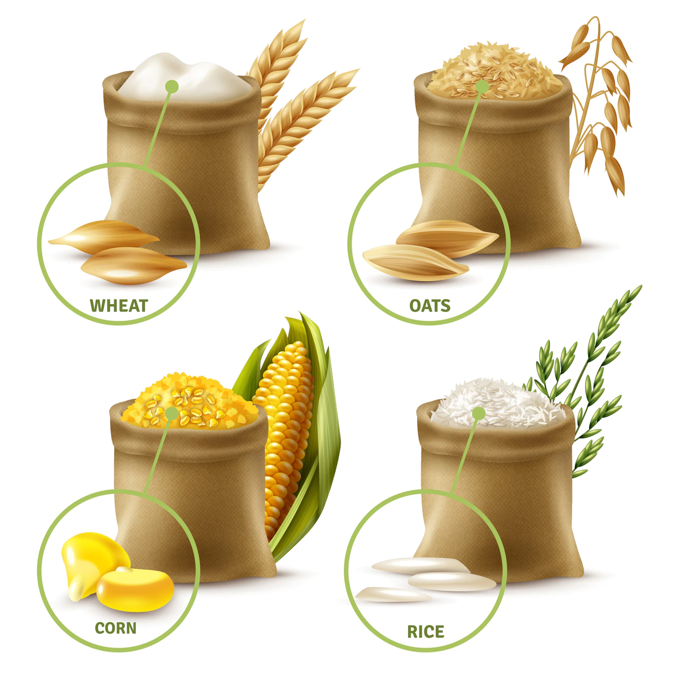 Agricultural Cereals Set 1284 21985