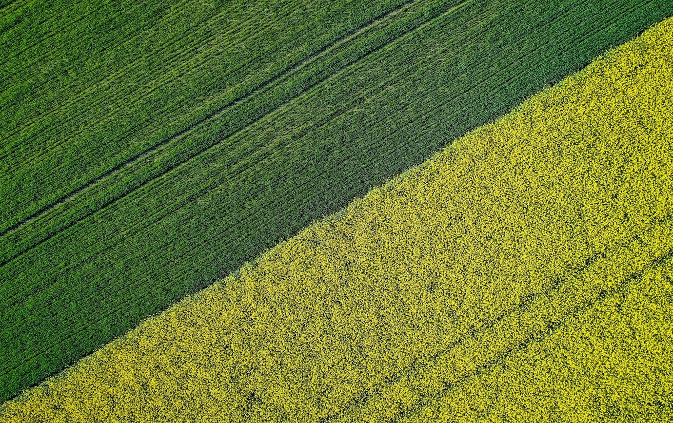 Beautiful Agricultural Half Green Half Yellow Grass Field Shot With Drone 181624 2244