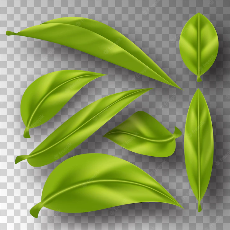 Beautiful Flying Green Tea Leaf Realistic 3d Background 91128 1204