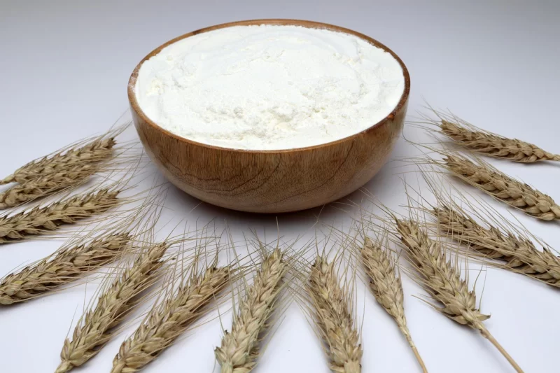 Closeup of a bowl full of Atta flour surrounded by ripe wheat Free Photo