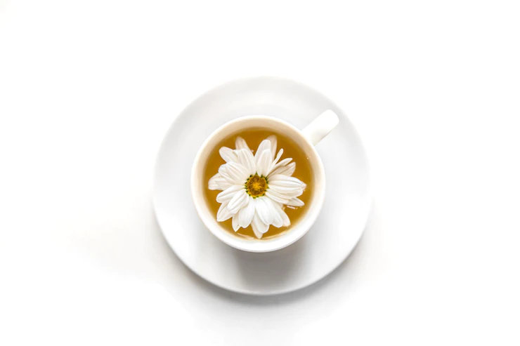 Closeup Tea With Chamomile Flower Isolated White 169016 16737 (1)