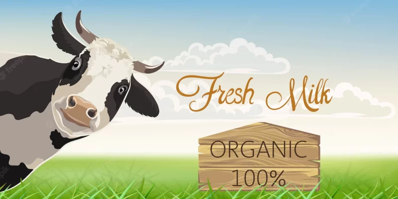 A cow with black spots with a meadow in background. organic fresh milk. Free Vector