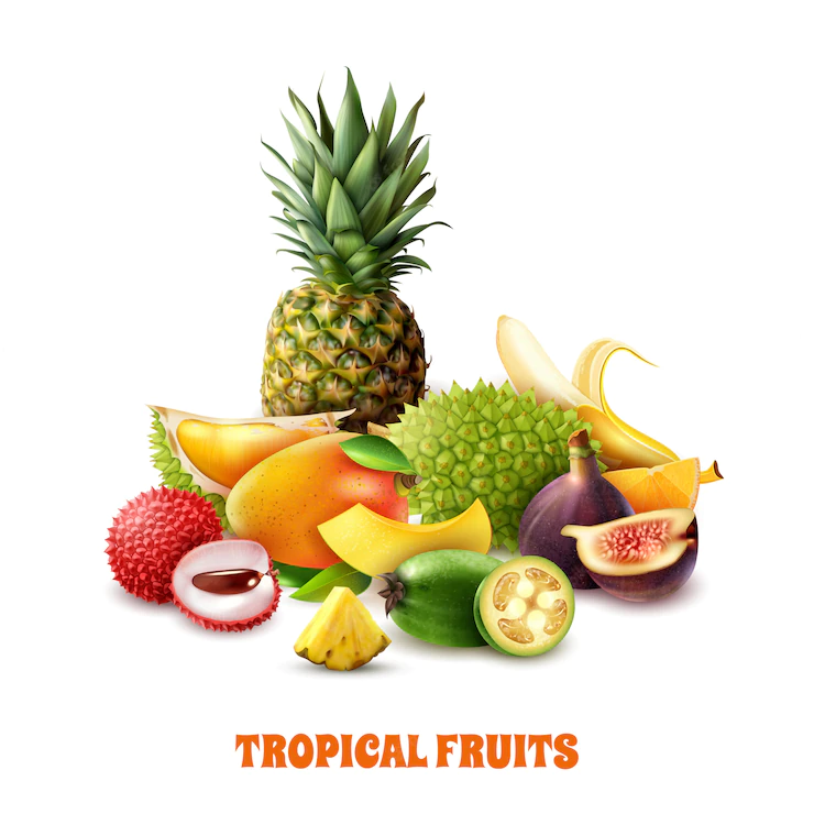 Exotic Tropical Fruits Composition 1284 24625