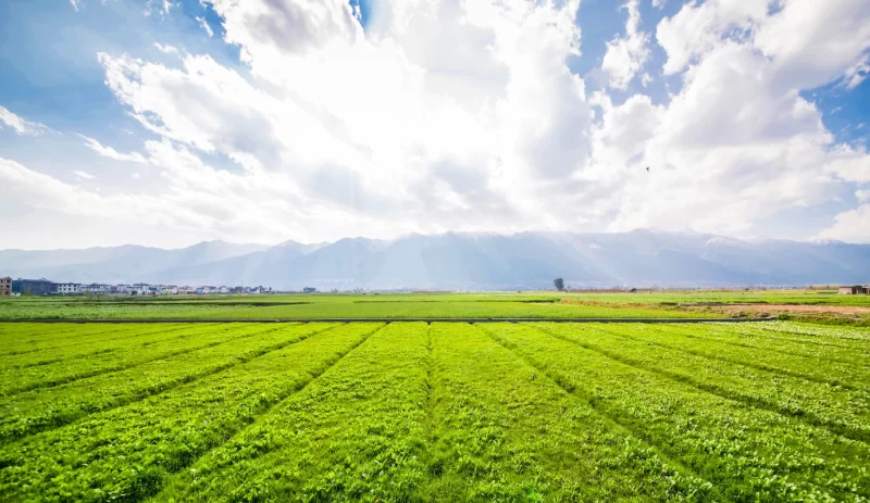 Farmland Free Photo