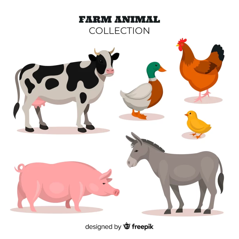 Flat design farm animal collection Free Vector