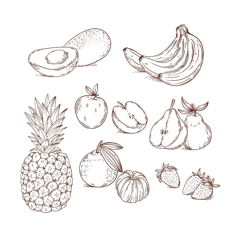 Hand Drawn Fruit Collection 52683 61727