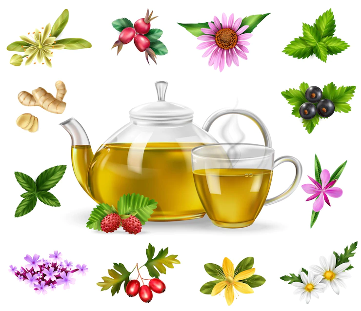 Herbal Green Tea Set With Berries Realistic Isolated Vector Illustration 1284 72294