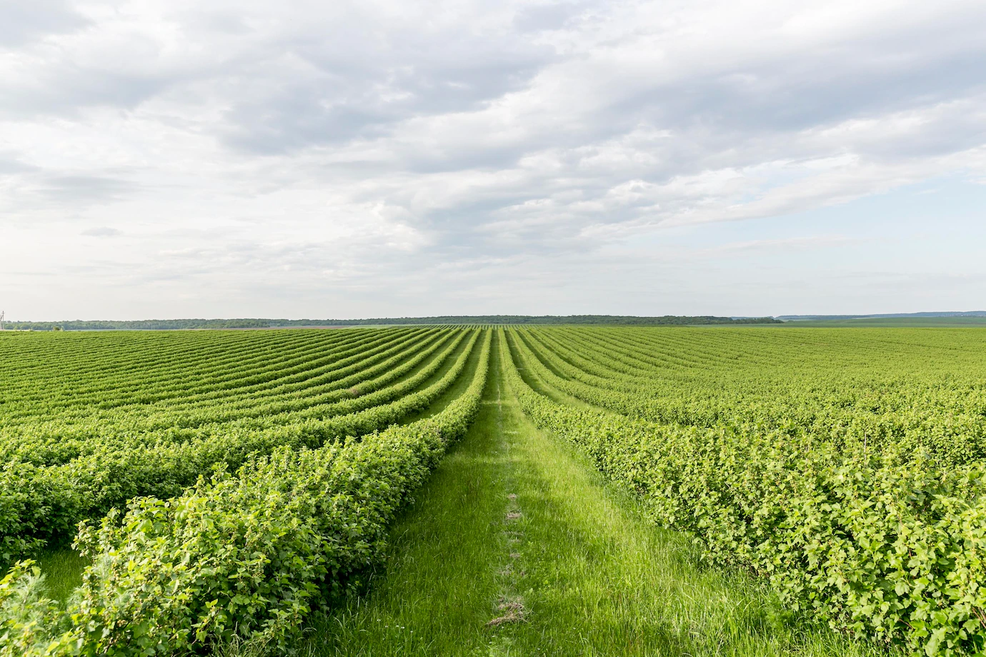 High Angle Farmland View 23 2148579680