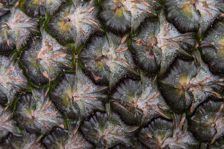 Macro Detail Pineapple Fruit 58702 2229