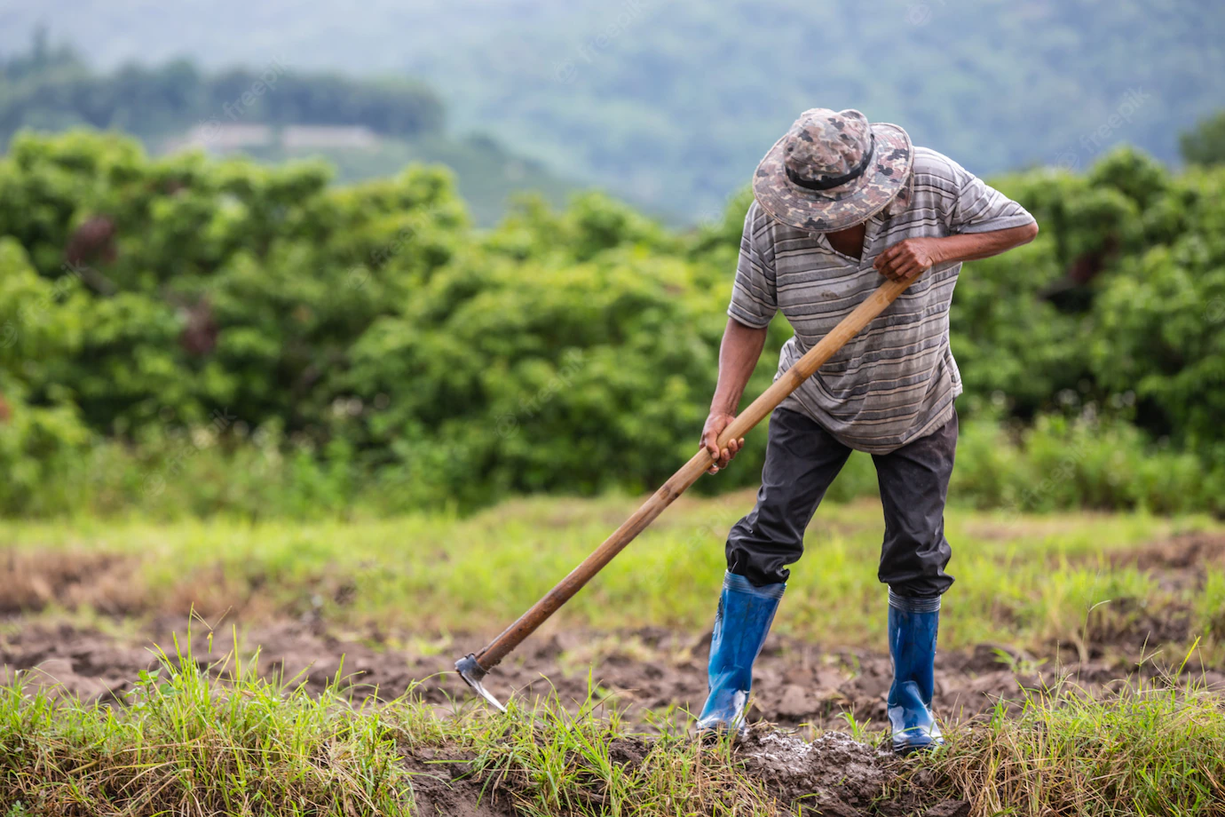 Male Farmer Who Is Using Shovel Dig Soil His Rice Fields 1150 17239