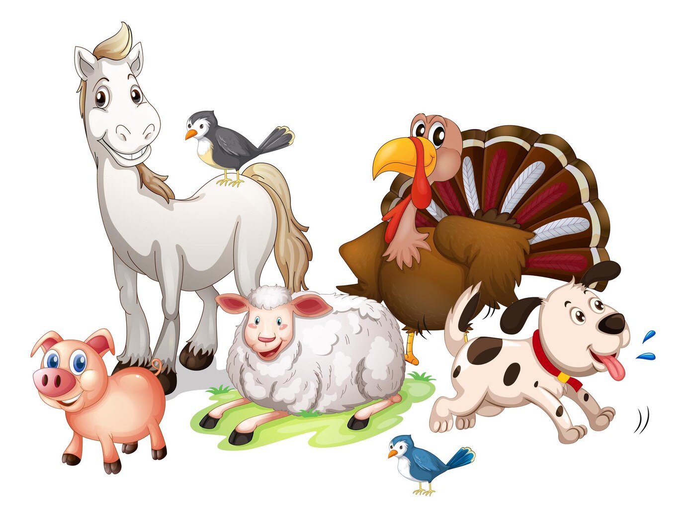 Many Farm Animals White Background 1308 108082