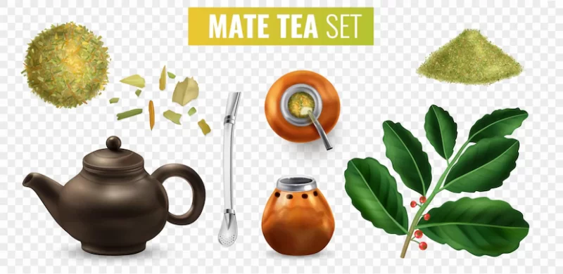 Mate tea set Free Vector