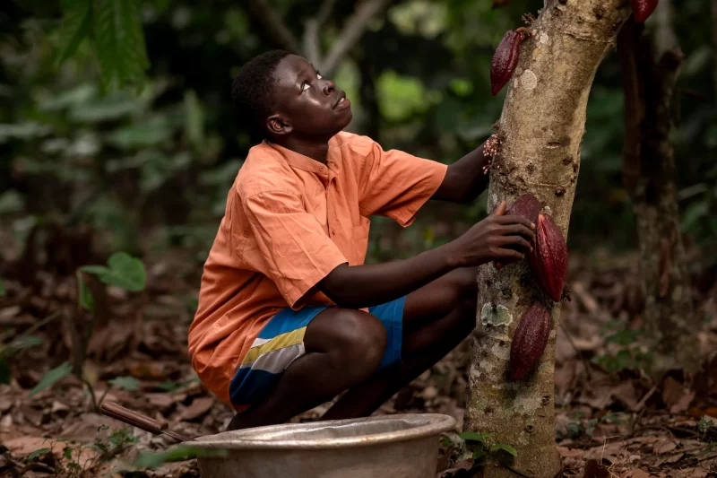 Medium shot smiley boy near cocoa beans Free Photo