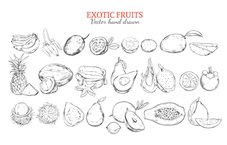 Monochrome Exotic Tropical Fruits Collection 1284 36198