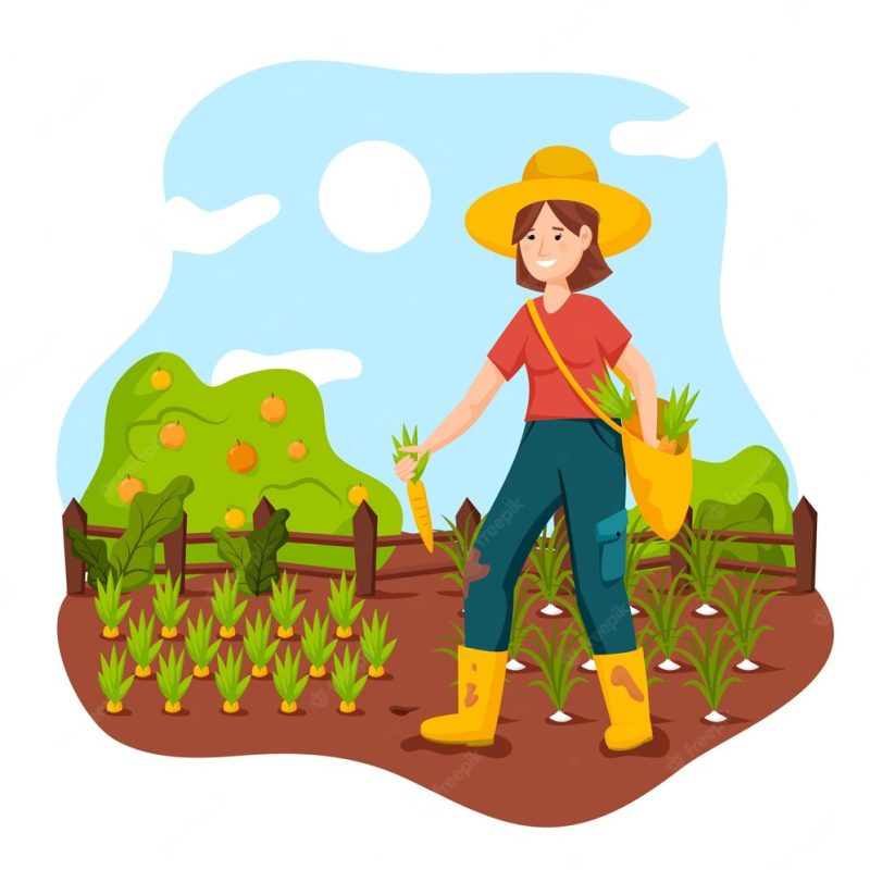 Organic farming concept Free Vector