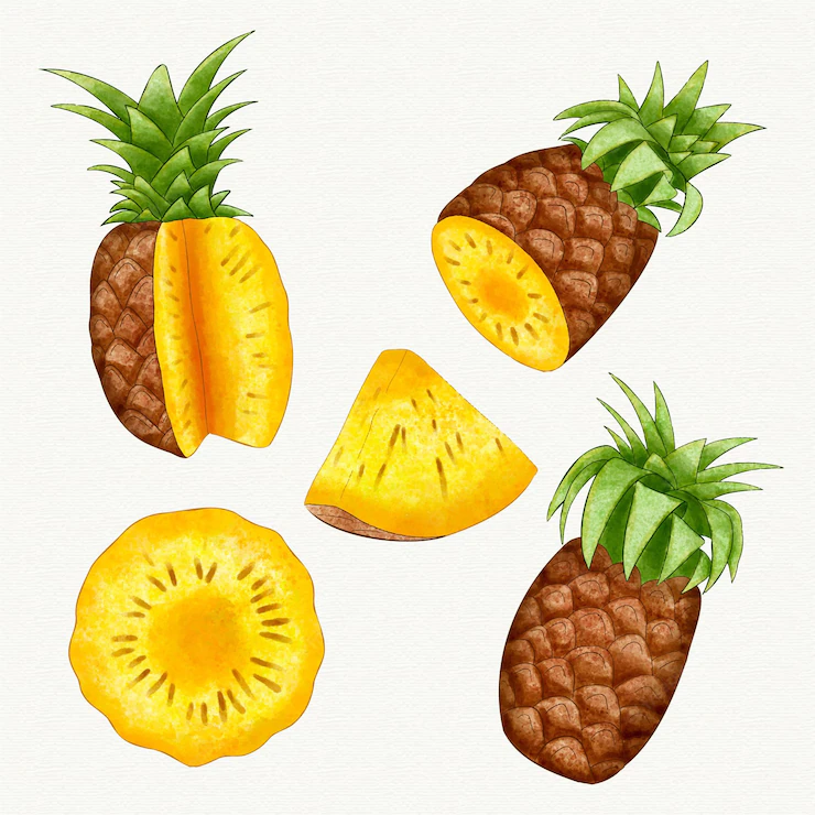 Pineapple Collection 23 2148825463