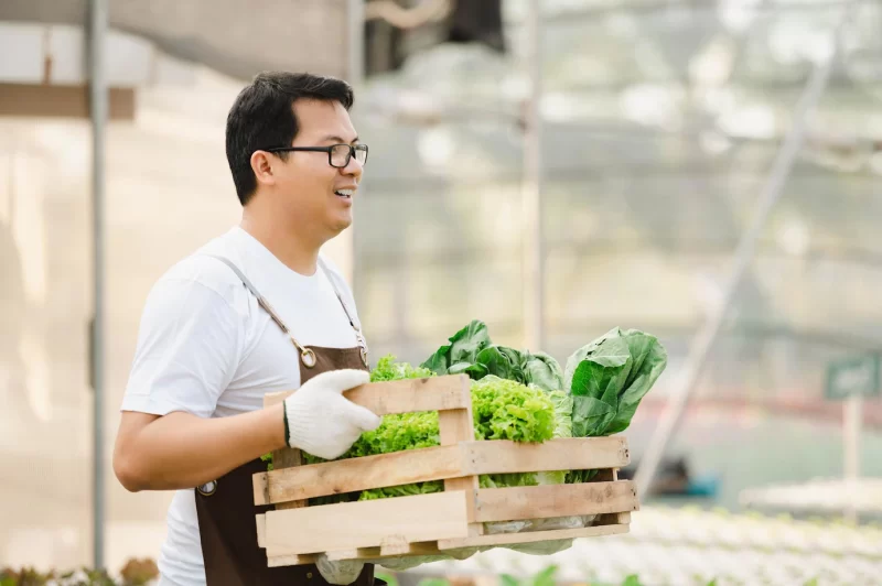 Portrait of asian farmer man holding wooden box full of fresh raw vegetables. organic farm concept. Free Photo