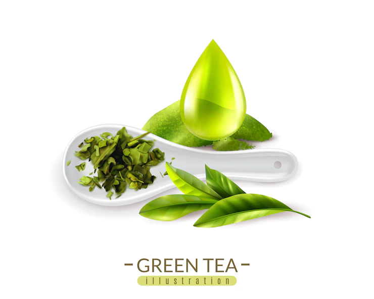 Realistic Green Tea Spoon Drop Vector Illustration 1284 30569