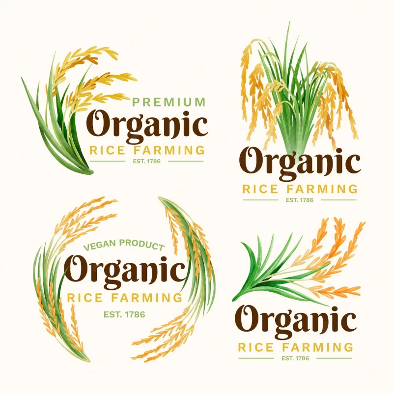 Rice logo collection Free Vector