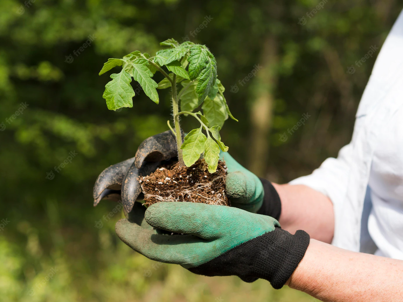 Side View Woman Holding Little Plant Her Arms 23 2148580069